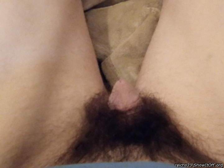 Nice pelt of pubes, I like how your little dick is almost bu