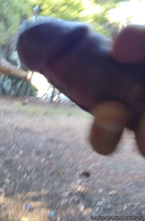 Public masturbation
