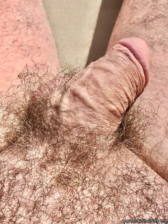 used cock