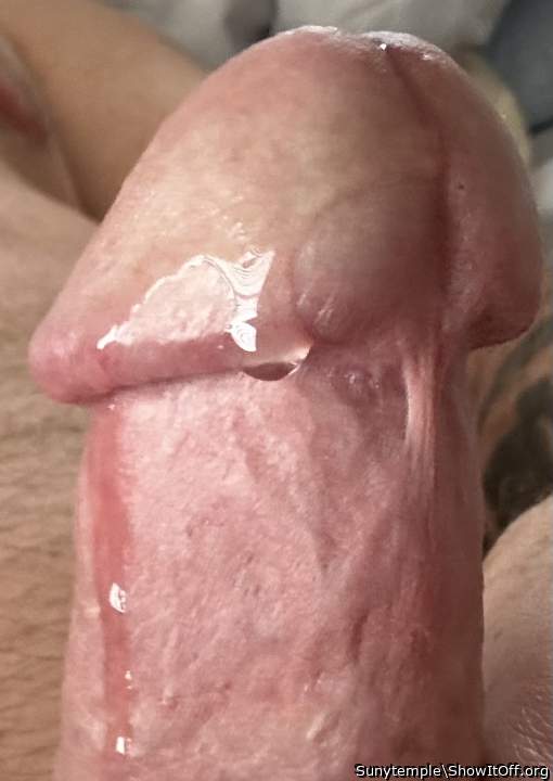 Photo of a penile from Sunytemple