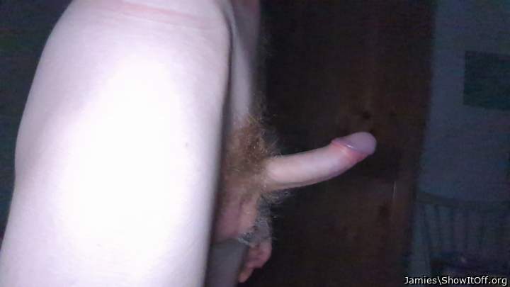 Penis
