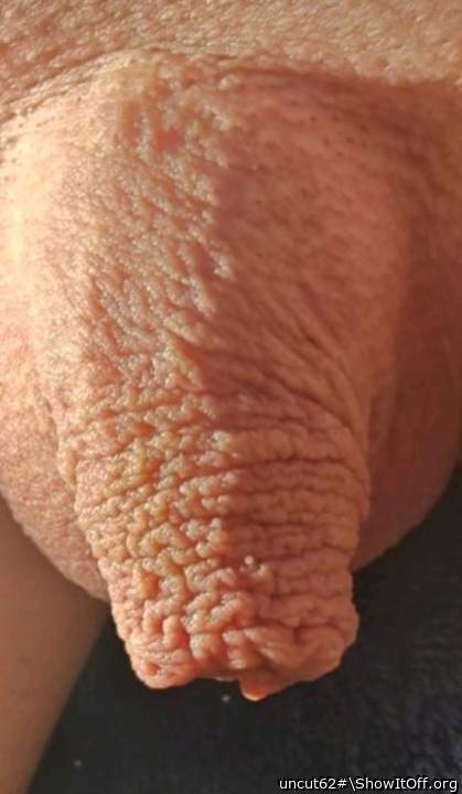 Photo of a bald-headed mouse from uncut62#