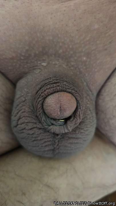 Photo of a penile from BALLZDIXNCLITZ