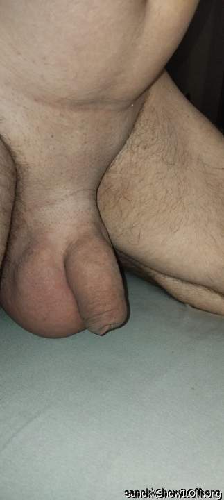 Testicles Photo from sanok