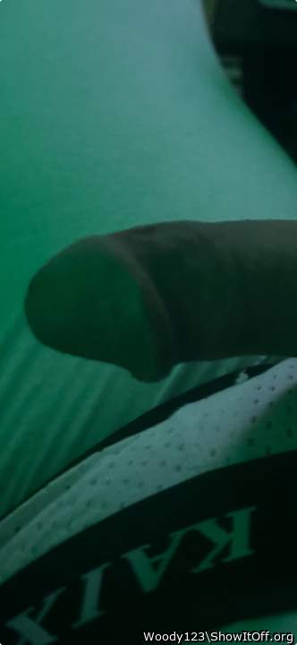 Photo of a snake from Woody123