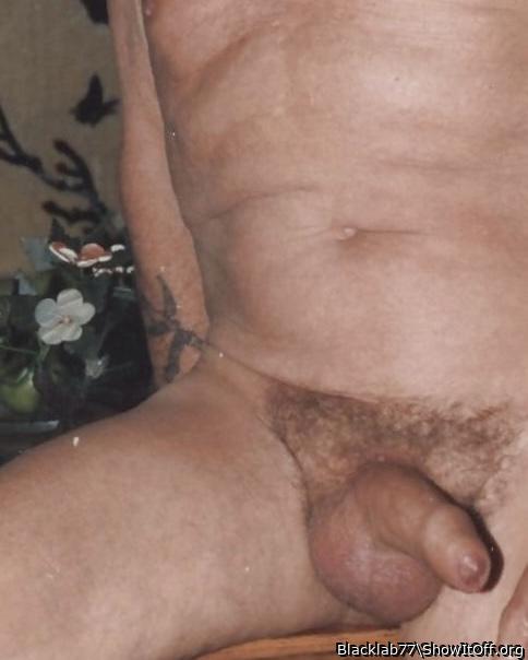 Photo of a cock from Blacklab77