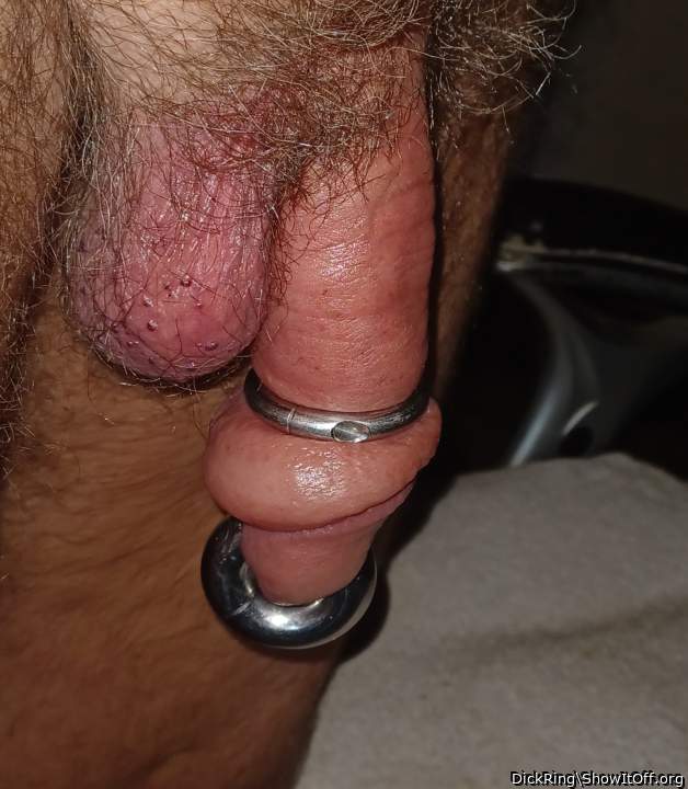 My knotty pierced cock