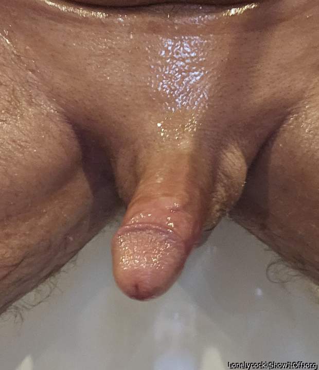 Photo of a cavalier from Lonelycock