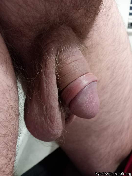 love to suck that for you 
