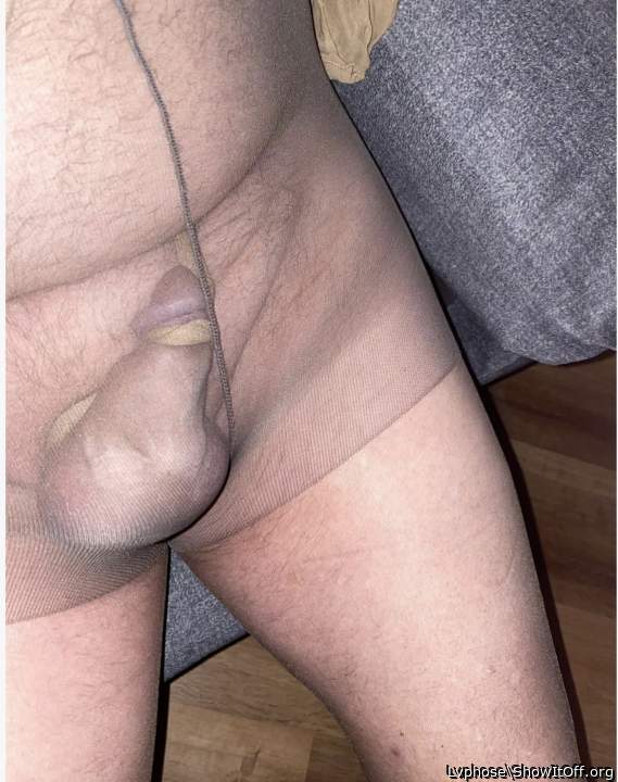 Photo of a horn from Lvphose