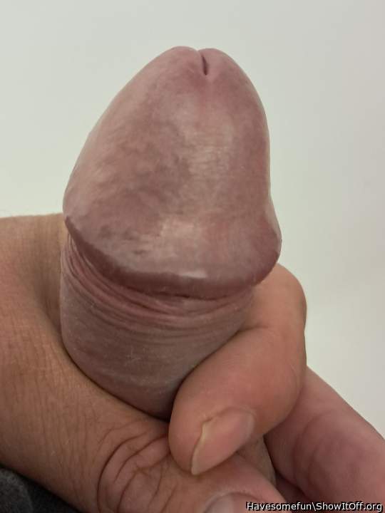 Photo of a equipment from Havesomefun