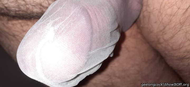 Photo of a pecker from geelongcock