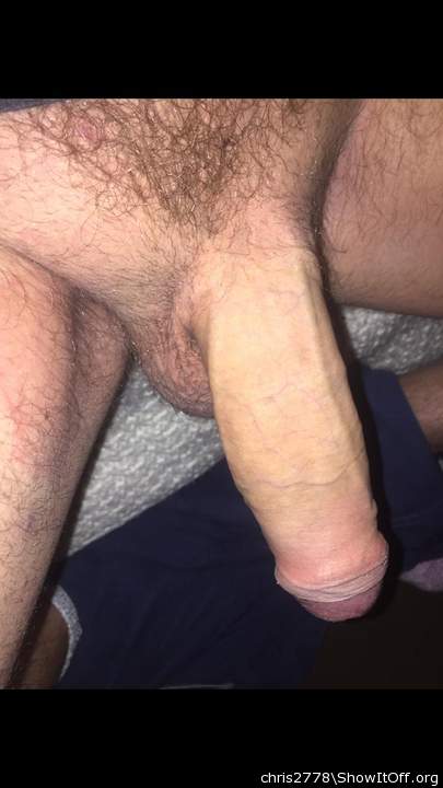 such a fine cock.  Looks great groomed up 