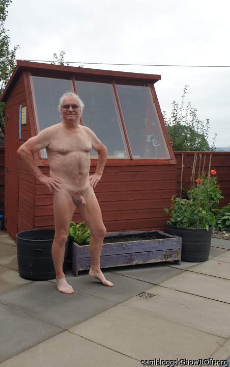 Doesn't the wife's shed look better now it's painted?