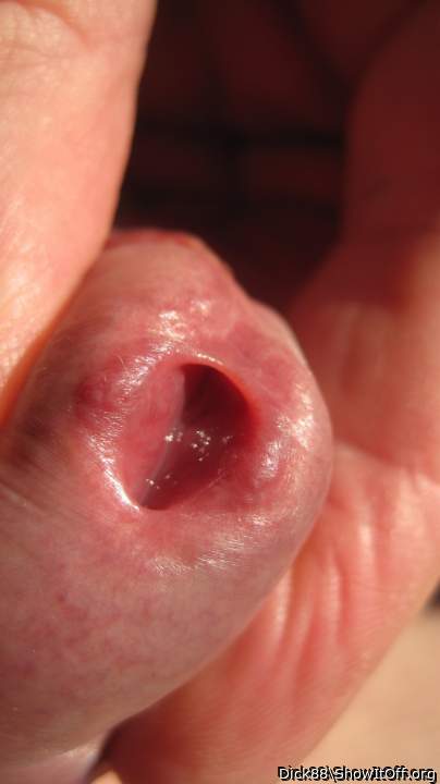 Photo of a schlong from Dick88