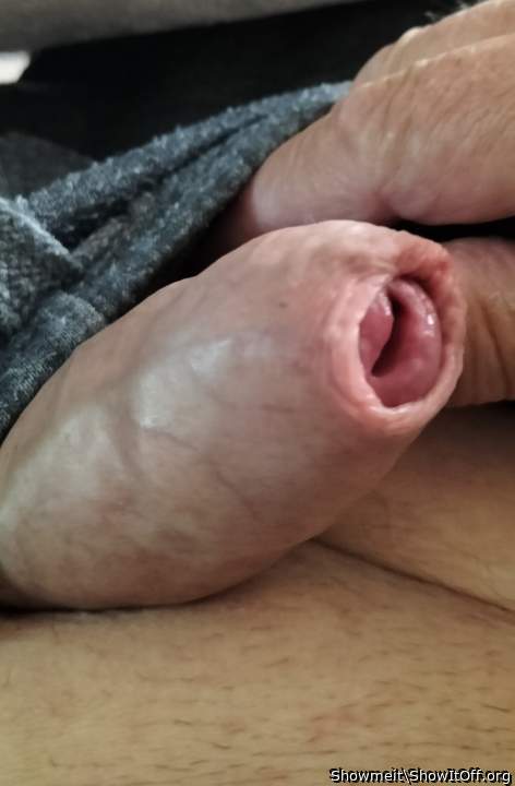 Photo of a third leg from Showmeit