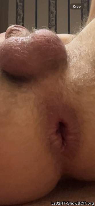 Photo of Man's Ass from La32HT