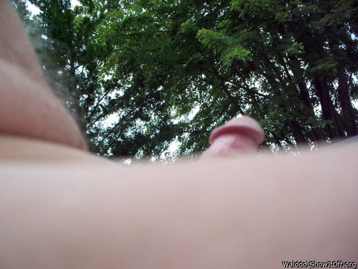Summer fun outdoors with an erect cock!!