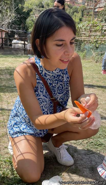 Photo of a stiffie from brunette123