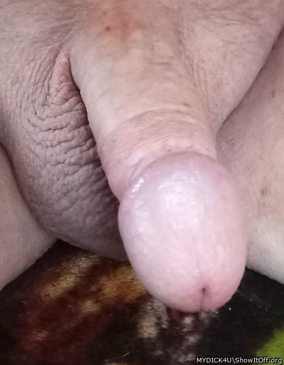 Photo of a phallus from MYDICK4U