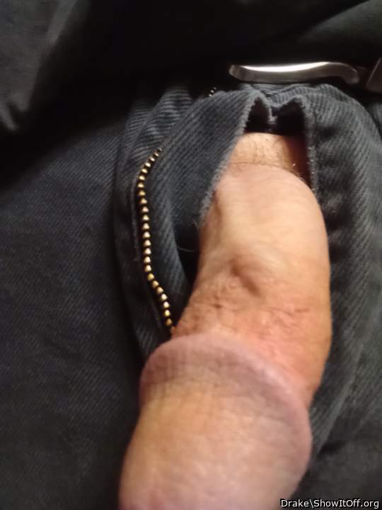 Photo of a middle leg from Drake