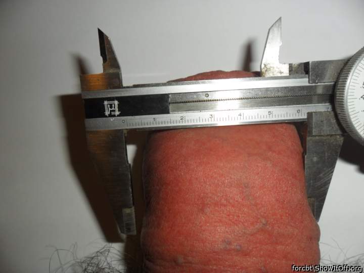 Photo of a sausage from forcbt