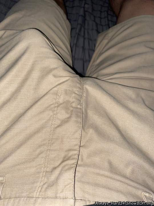 Photo of a bat from Always_Hard24