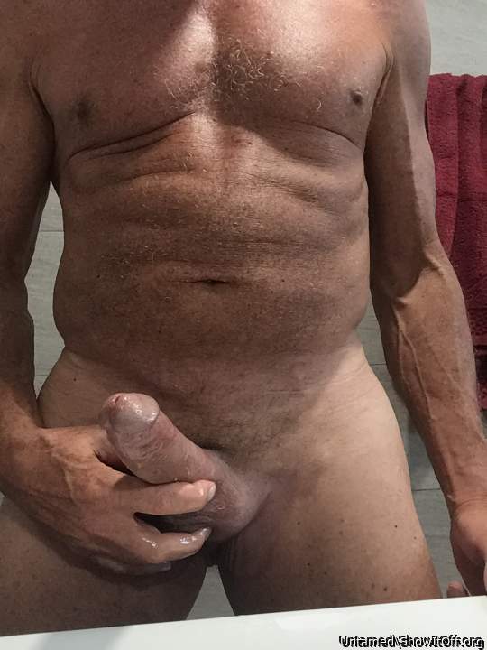 Photo of a bat from Untamed