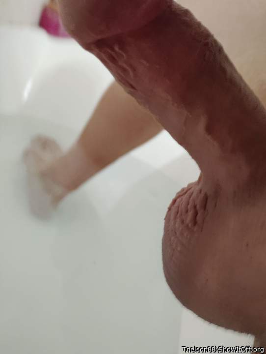 Photo of a third leg from Tnelson88