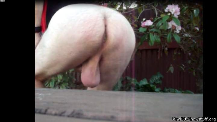 My balls at the picnic table.