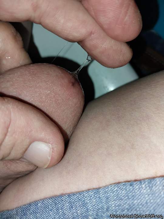 Photo of a bat from Alonzohoss