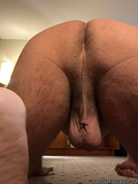 my ass
