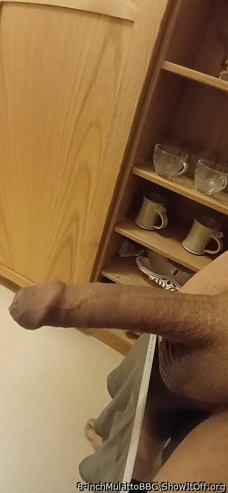 Photo of a ram rod from 8-inchMulattoBBC