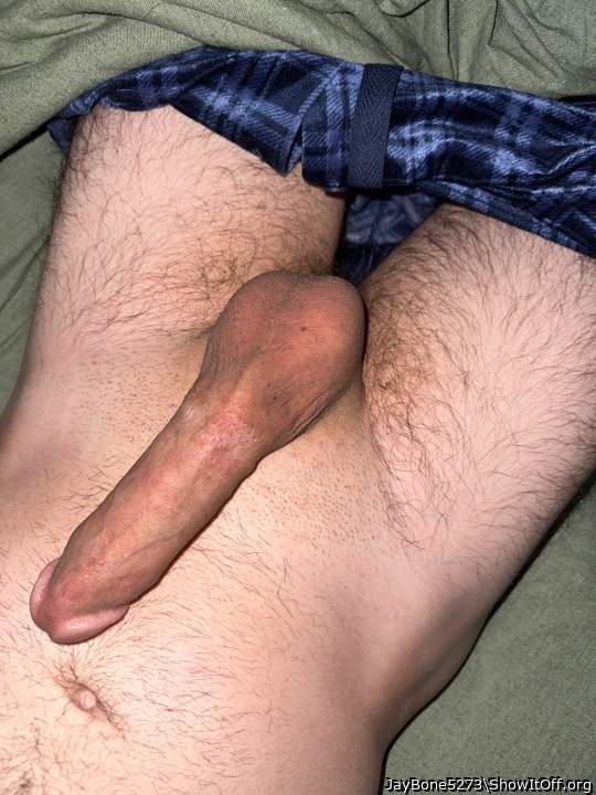 Great boned up cock buddy!  