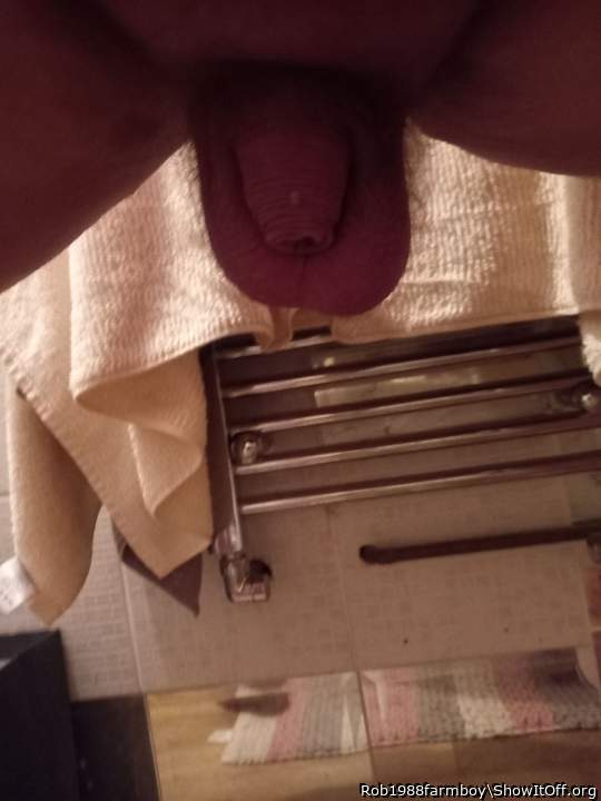 Testicles Photo from Rob1988farmboy