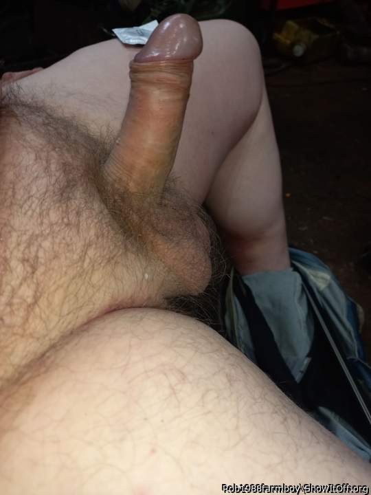 the most delectable of tubers objects of your care!   