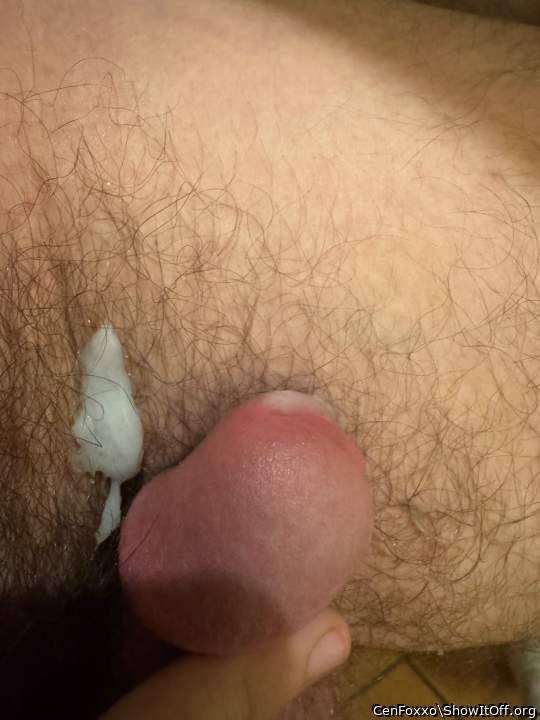 Photo of a pocket rocket from CenFoxxo