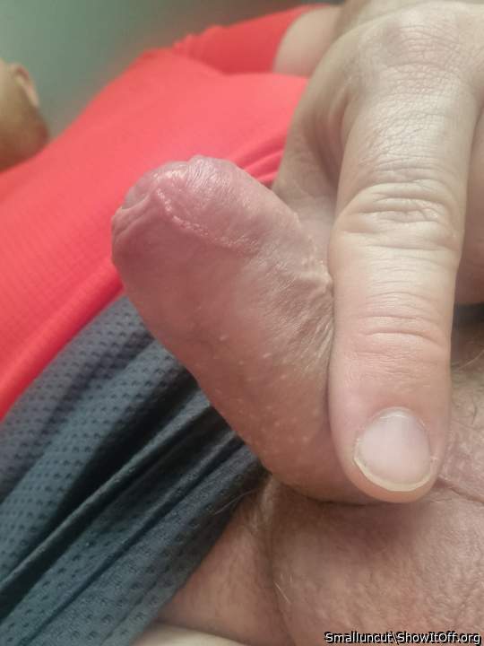 Photo of a sausage from Smalluncut