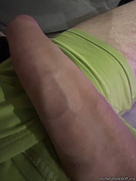 Photo of a bat from Sichat