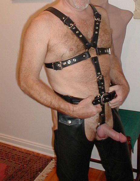 Harnessed for Fun