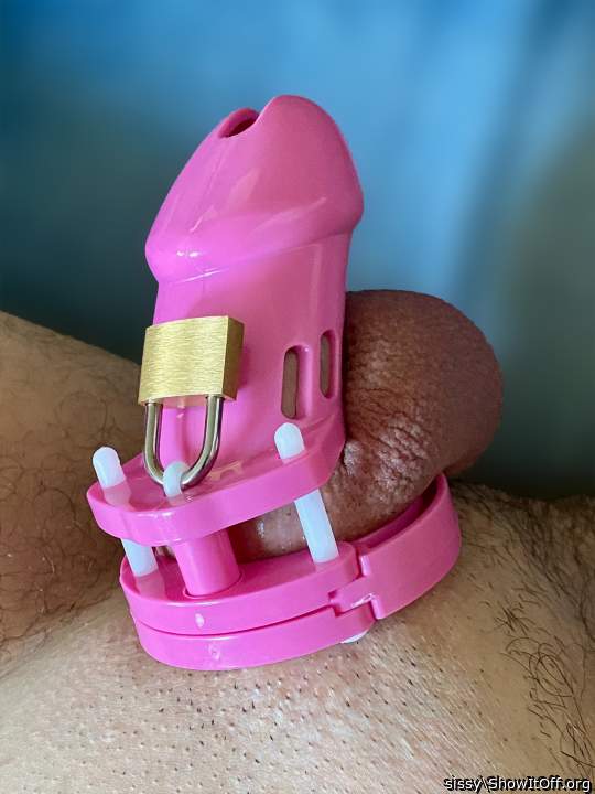 Trying out my first cage