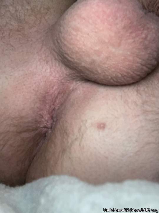 Photo of a wiener from Hellothere52