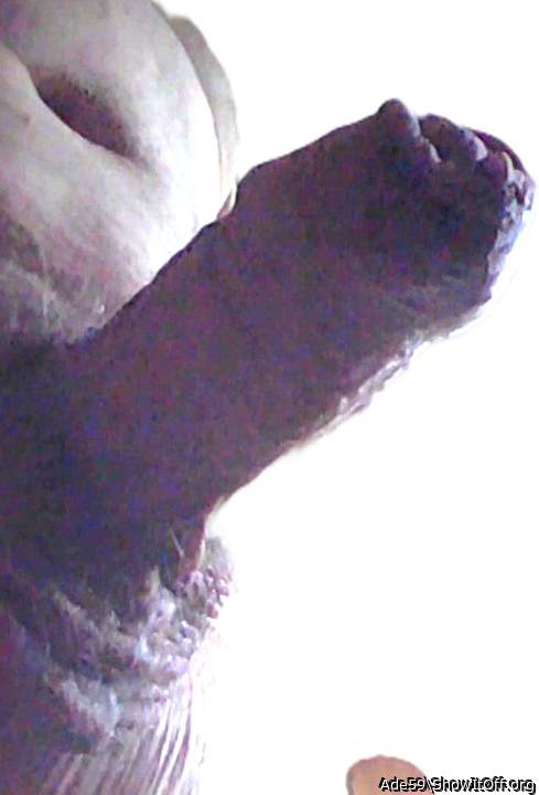 Photo of a hot dog from Ade59