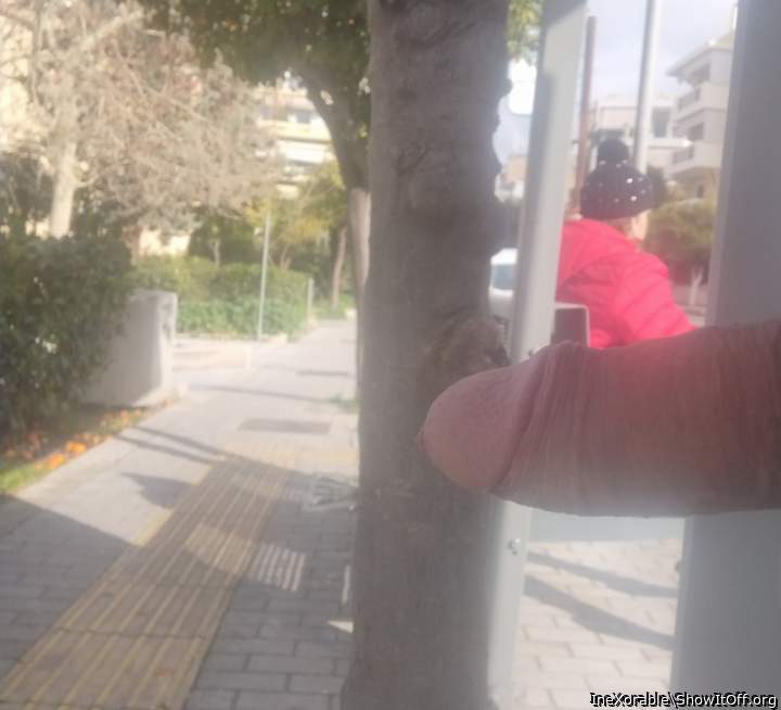 My naughty public knob!