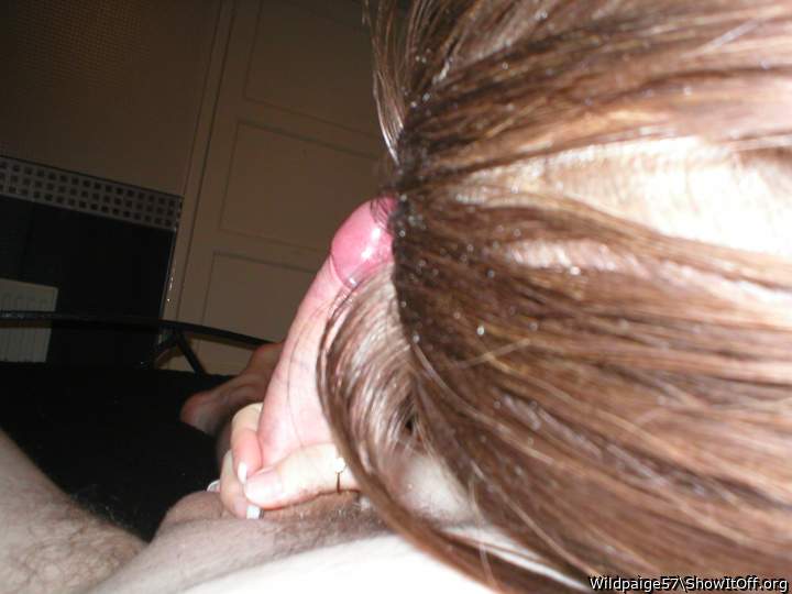 Photo of a bat from Wildpaige57
