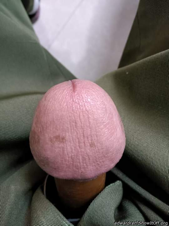 Photo of a bat from edwardren