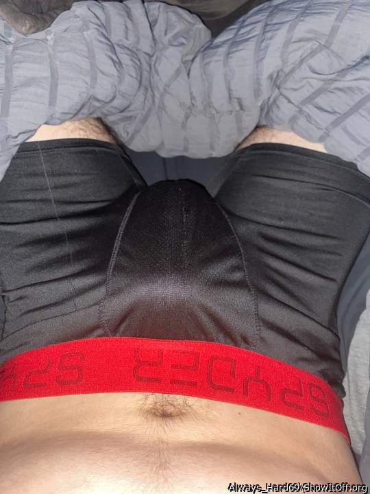 Photo of a cock from Always_Hard69