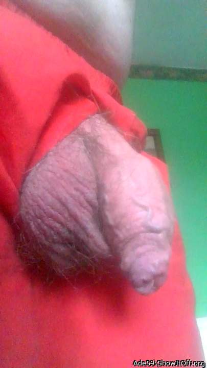 Photo of a hot dog from Ade59