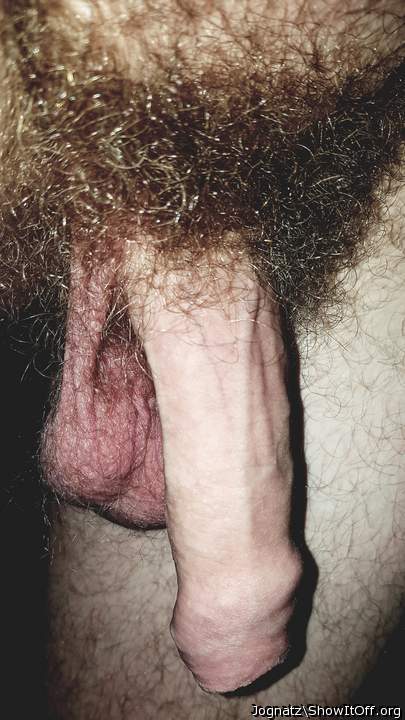 Great bush and love that foreskin. Very nice dick.
