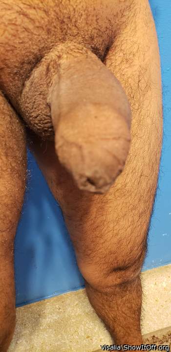 Photo of a wiener from visalia